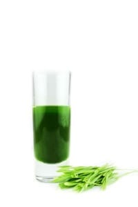 Wheatgrass juice