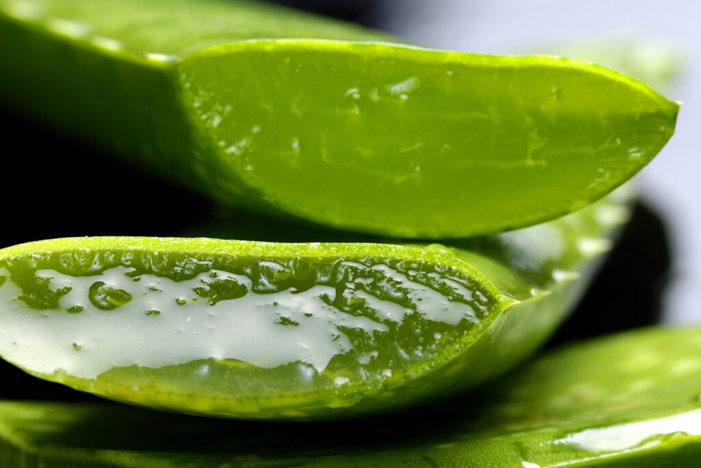 Green tea swap for coffee to support gut healing and reduce inflammation